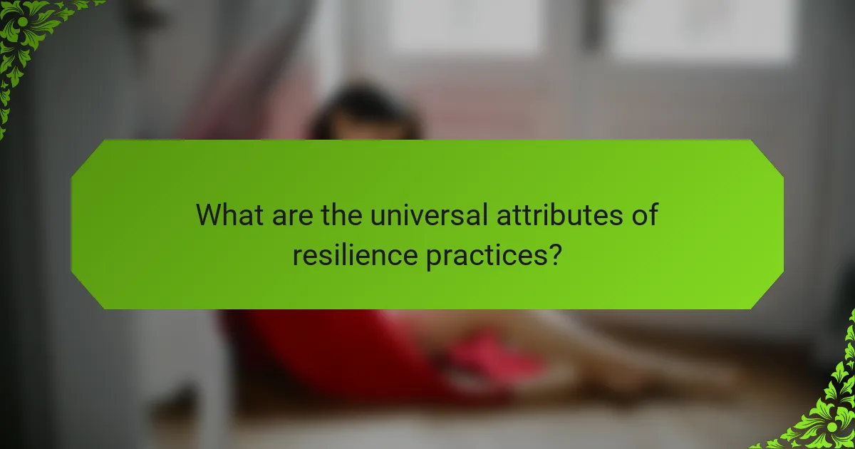 What are the universal attributes of resilience practices?